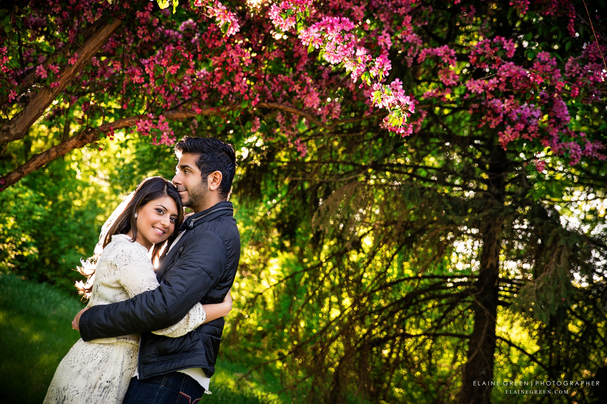 Engagement Photography Edmonton Wedding Photographers