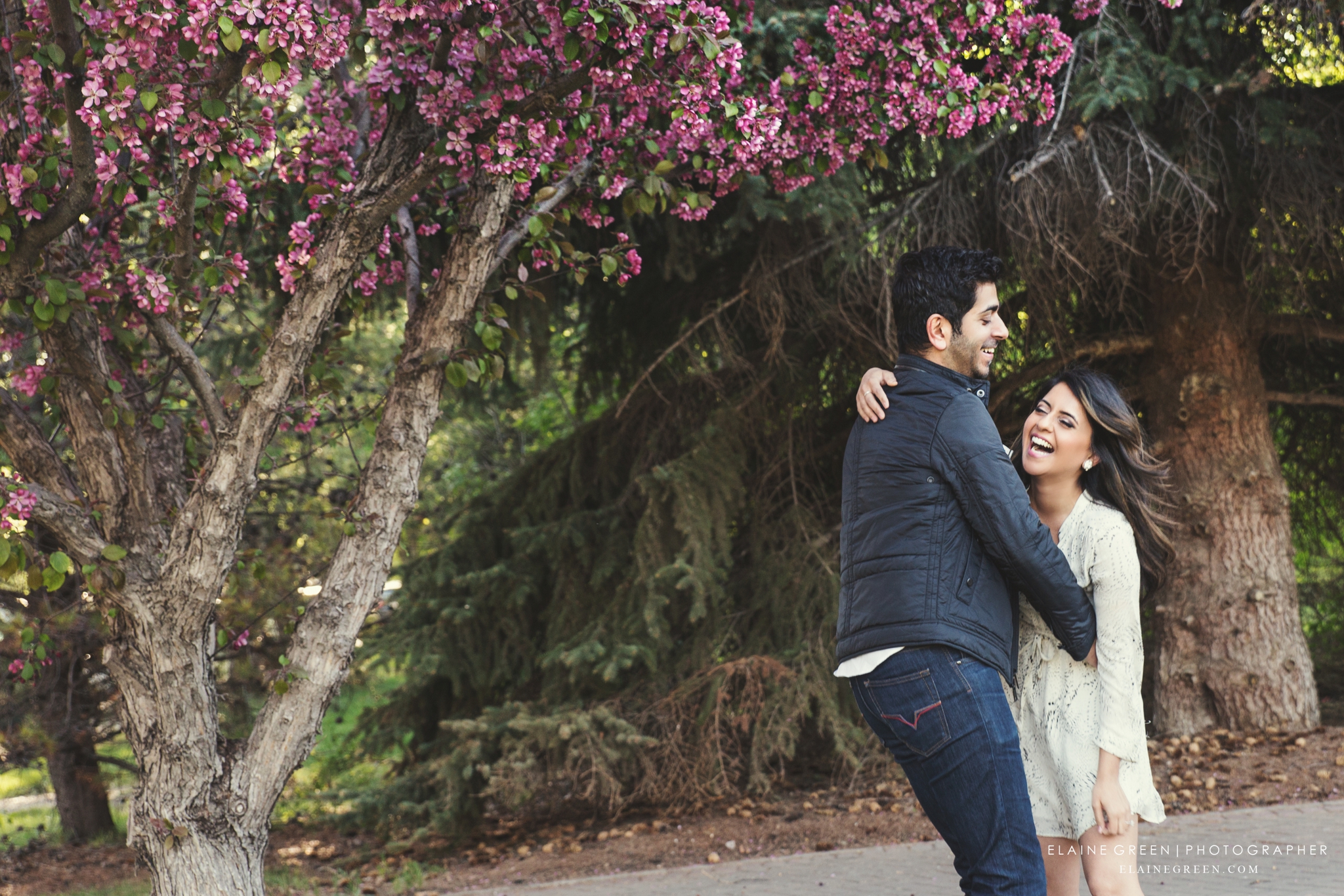 Engagement Photography Edmonton Wedding Photographers