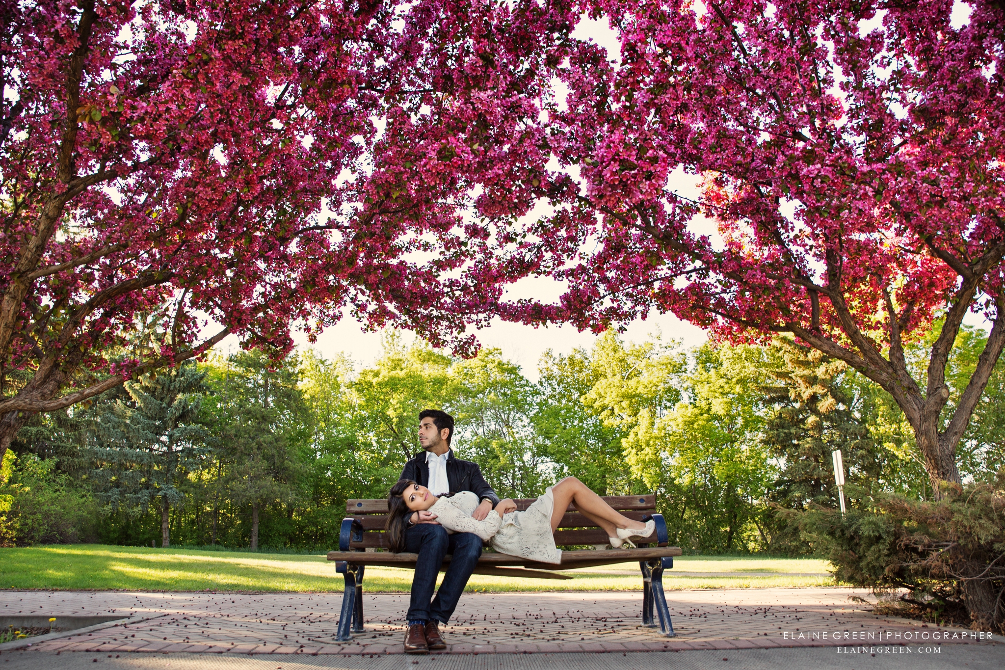 Engagement Photography Edmonton Wedding Photographers