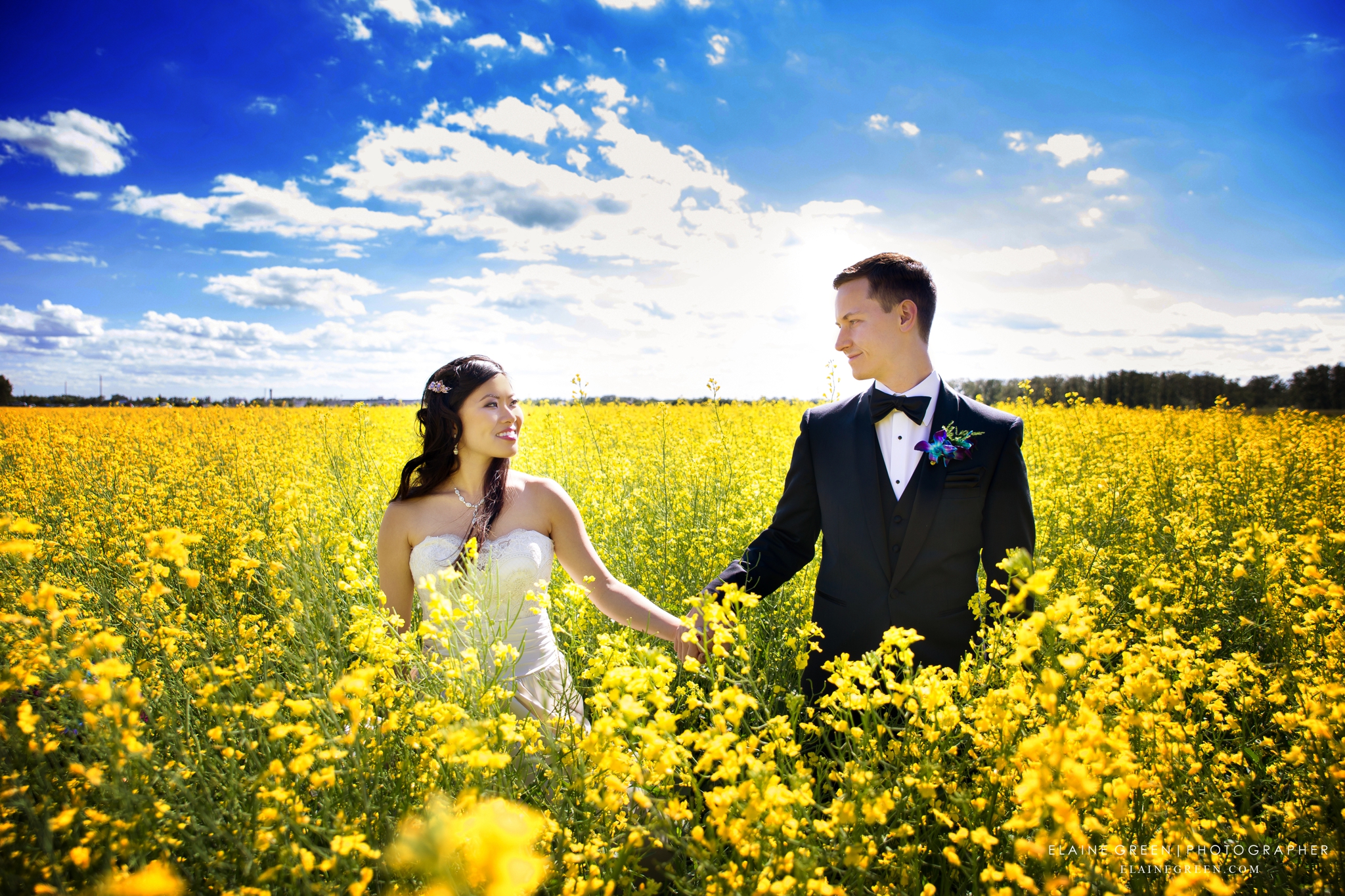 Wedding Photography Edmonton Wedding Photographer